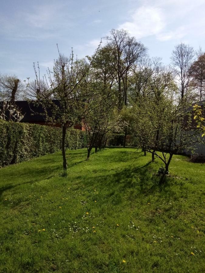 gite du montagnard Oxelaere Esterno foto