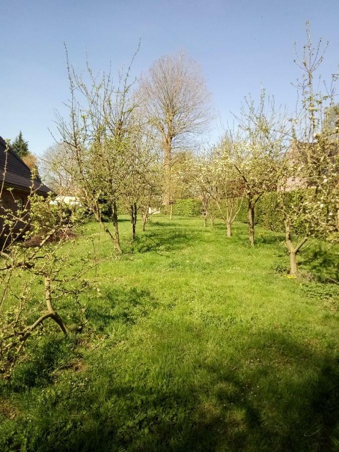 gite du montagnard Oxelaere Esterno foto