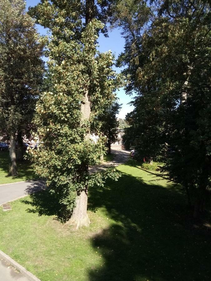 gite du montagnard Oxelaere Esterno foto